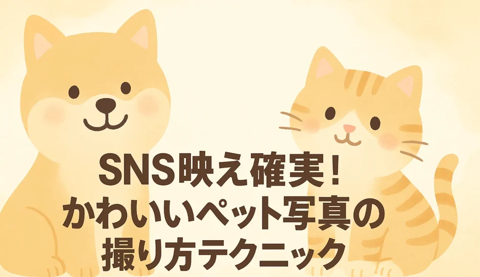 SNS映え確実！かわいいペット写真の撮り方テクニック