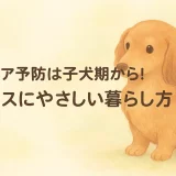 ヘルニア予防は子犬期から！ダックスにやさしい暮らし方