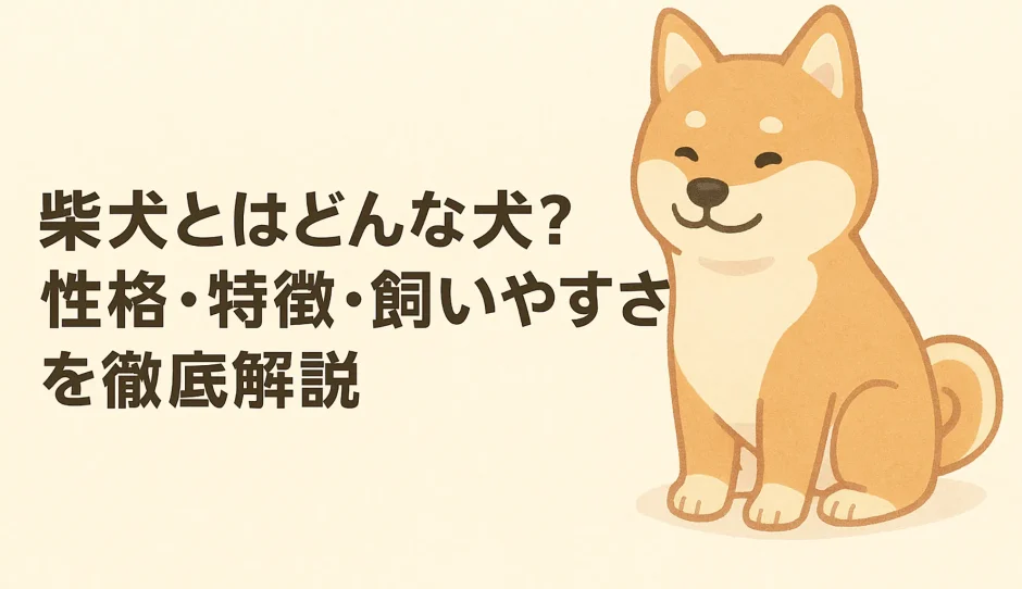 【柴犬とはどんな犬？性格・特徴・飼いやすさを徹底解説】