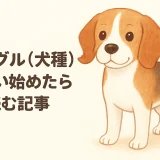 ビーグルとはどんな犬？性格・特徴・飼いやすさを徹底解説