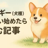 コーギーとはどんな犬？性格・特徴・飼いやすさを徹底解説
