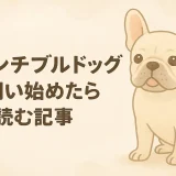 フレンチブルドッグとはどんな犬？性格・特徴・飼いやすさを徹底解説