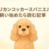 アメリカンコッカースパニエルとはどんな犬？性格・特徴・飼いやすさを徹底解説