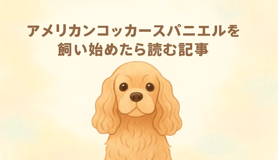 アメリカンコッカースパニエルとはどんな犬？性格・特徴・飼いやすさを徹底解説