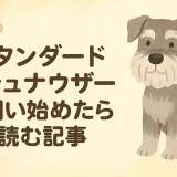 スタンダードシュナウザーとはどんな犬？性格・特徴・飼いやすさを徹底解説