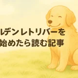 ゴールデンレトリバーとはどんな犬？性格・特徴・飼いやすさを徹底解説