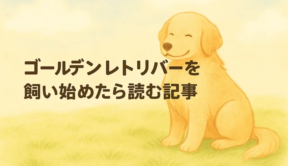 ゴールデンレトリバーとはどんな犬？性格・特徴・飼いやすさを徹底解説