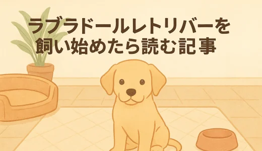 ラブラドールレトリバーとはどんな犬？性格・特徴・飼いやすさを徹底解説