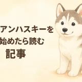 シベリアンハスキーとはどんな犬？性格・特徴・飼いやすさを徹底解説