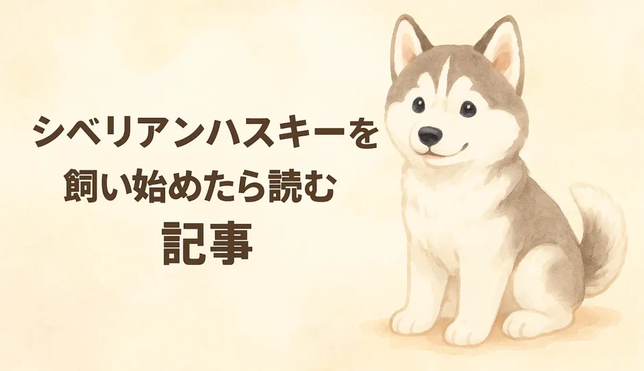 シベリアンハスキーとはどんな犬？性格・特徴・飼いやすさを徹底解説