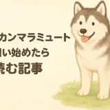 アラスカンマラミュートとはどんな犬？性格・特徴・飼いやすさを徹底解説