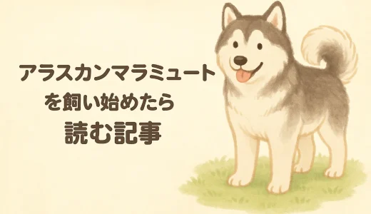 下のソーシャルリンクからフォロー