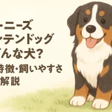 バーニーズマウンテンドッグとはどんな犬？性格・特徴・飼いやすさを徹底解説