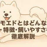 サモエドとはどんな犬？性格・特徴・飼いやすさを徹底解説