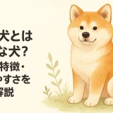 秋田犬とはどんな犬？性格・特徴・飼いやすさを徹底解説