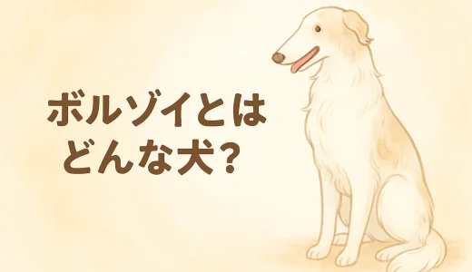 ボルゾイとはどんな犬？性格・特徴・飼いやすさを徹底解説
