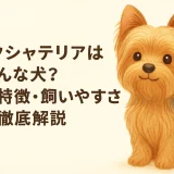 ヨークシャテリアとはどんな犬？性格・特徴・飼いやすさを徹底解説