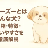 シーズーとはどんな犬？性格・特徴・飼いやすさを徹底解説