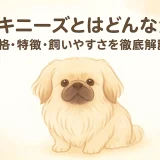 ペキニーズとはどんな犬？性格・特徴・飼いやすさを徹底解説