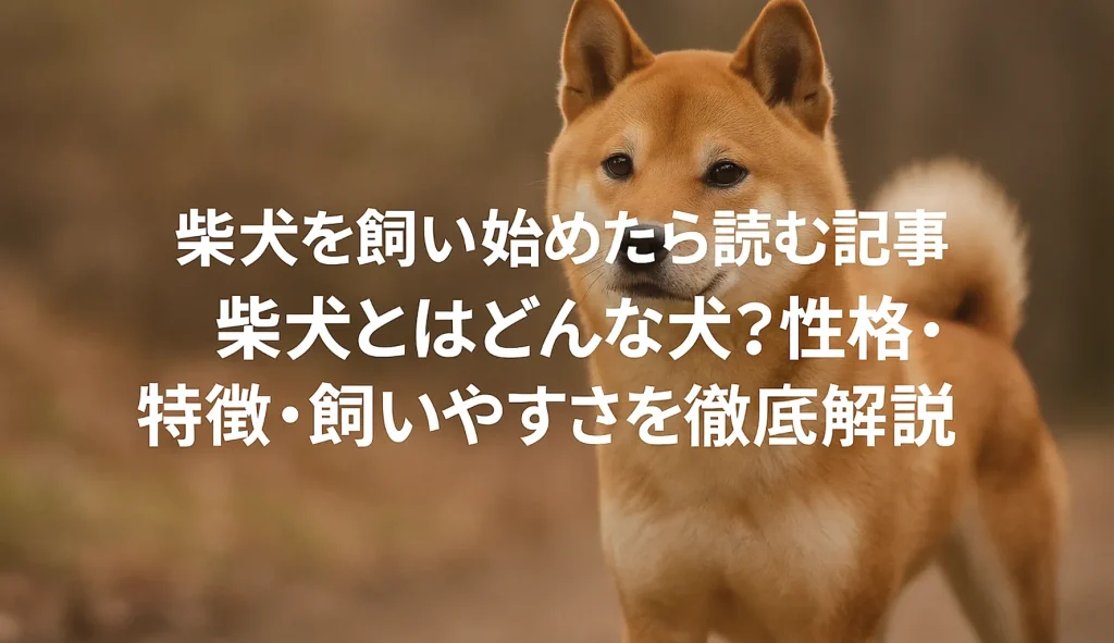 柴犬とは
