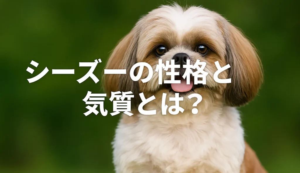 シーズーの性格と気質とは?