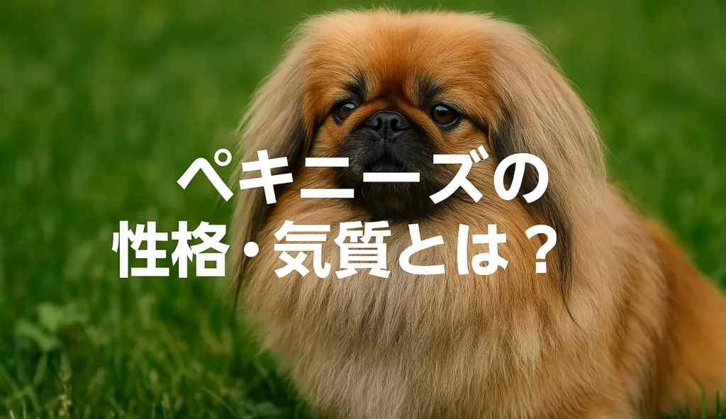 ペキニーズの性格・気質とは?