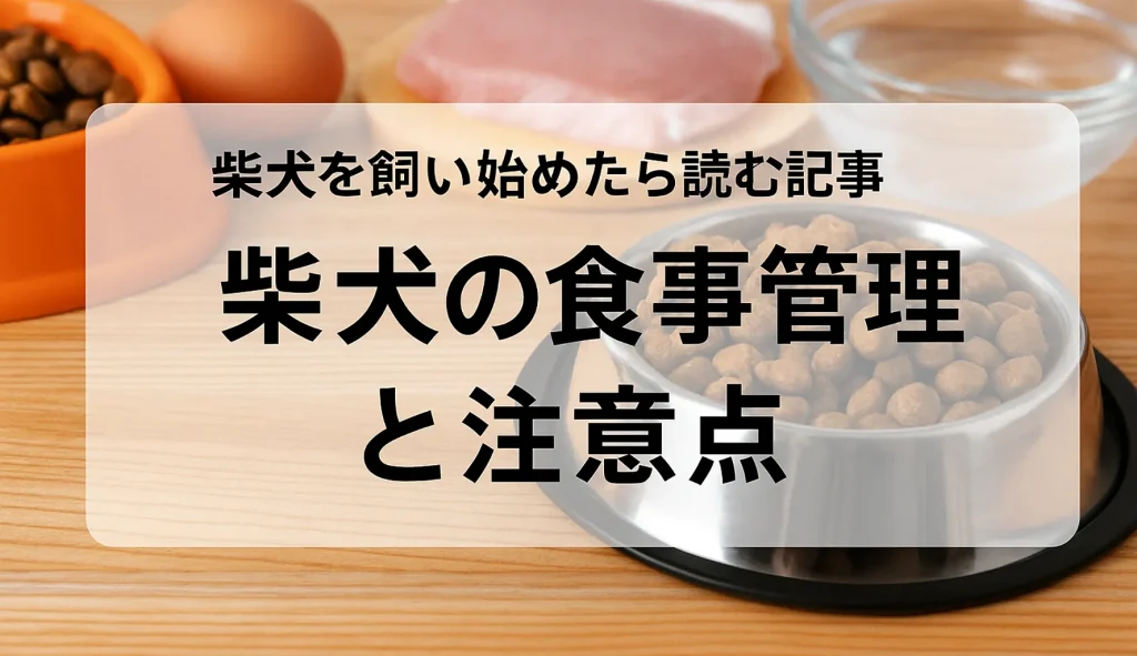柴犬の食事管理と注意点