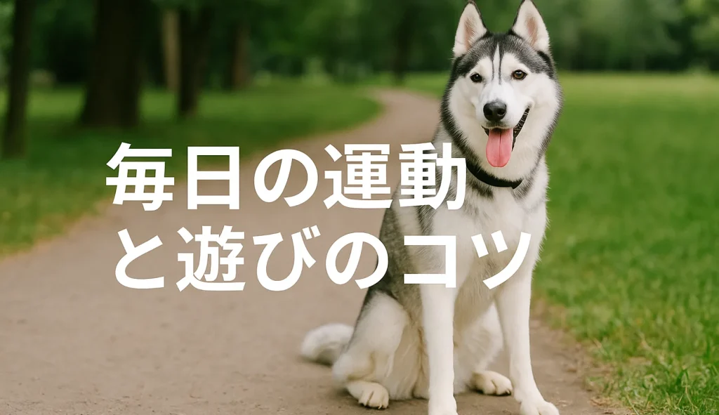毎日の運動と遊びのコツ