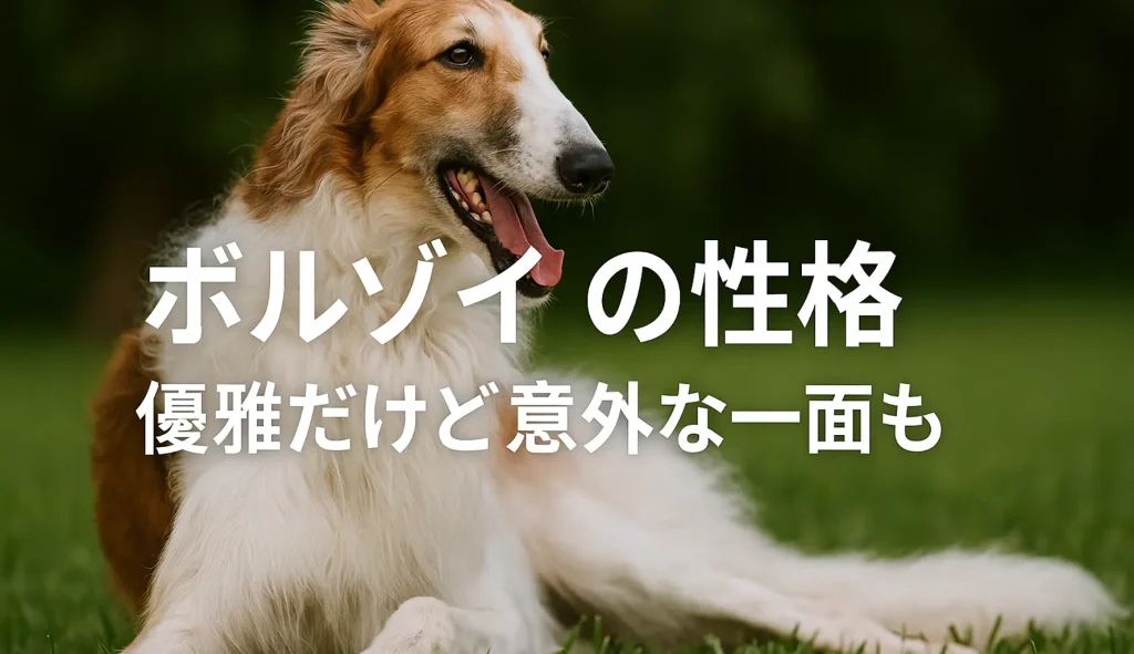 ボルゾイの性格|優雅だけど意外な一面も