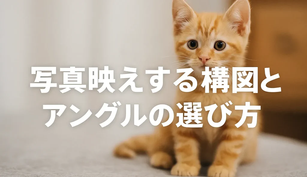 写真映えする構図とアングルの選び方