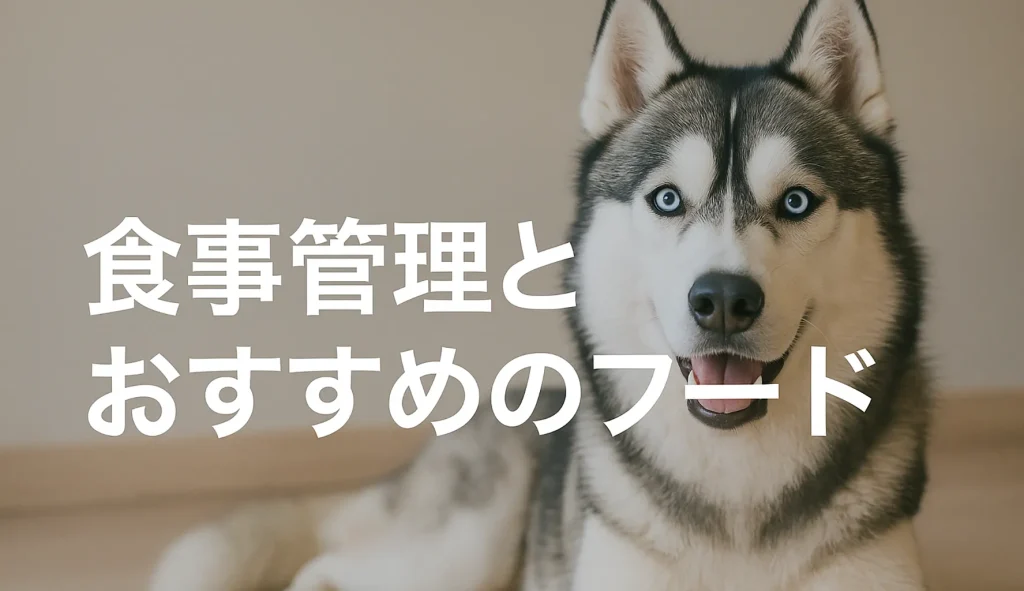 食事管理とおすすめのフード