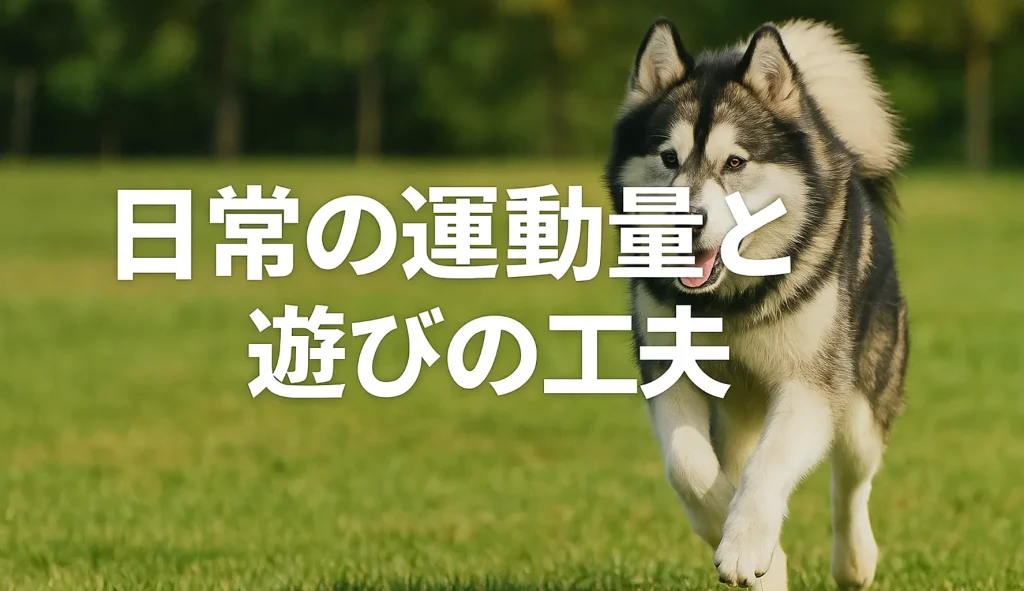 日常の運動量と遊びの工夫