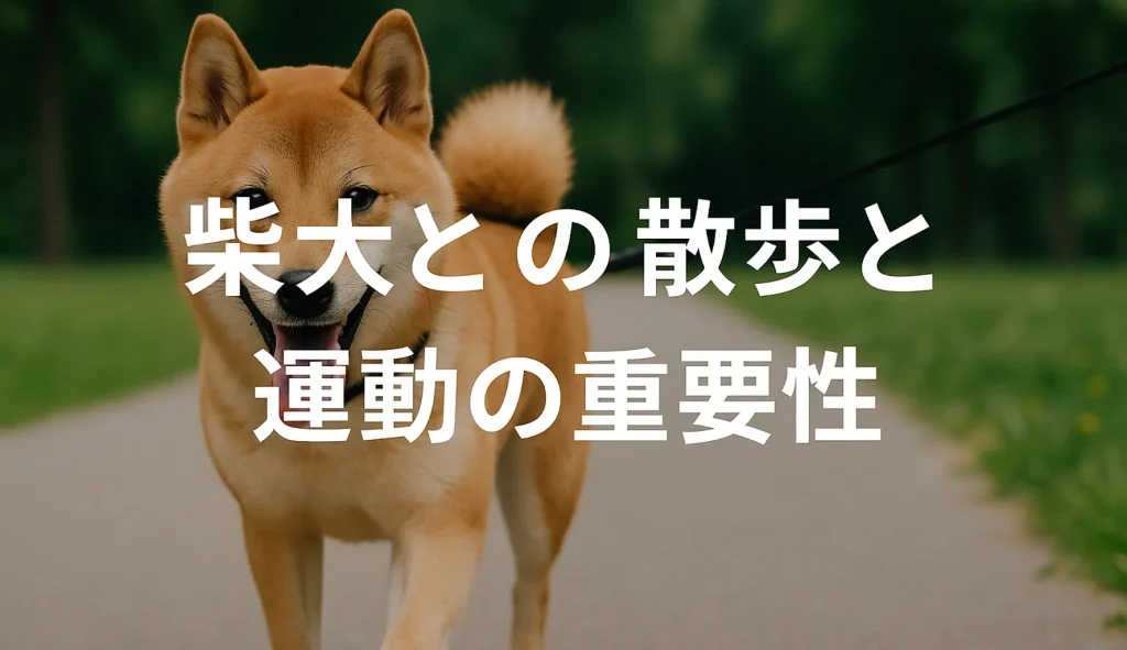 柴犬との散歩と運動の重要性