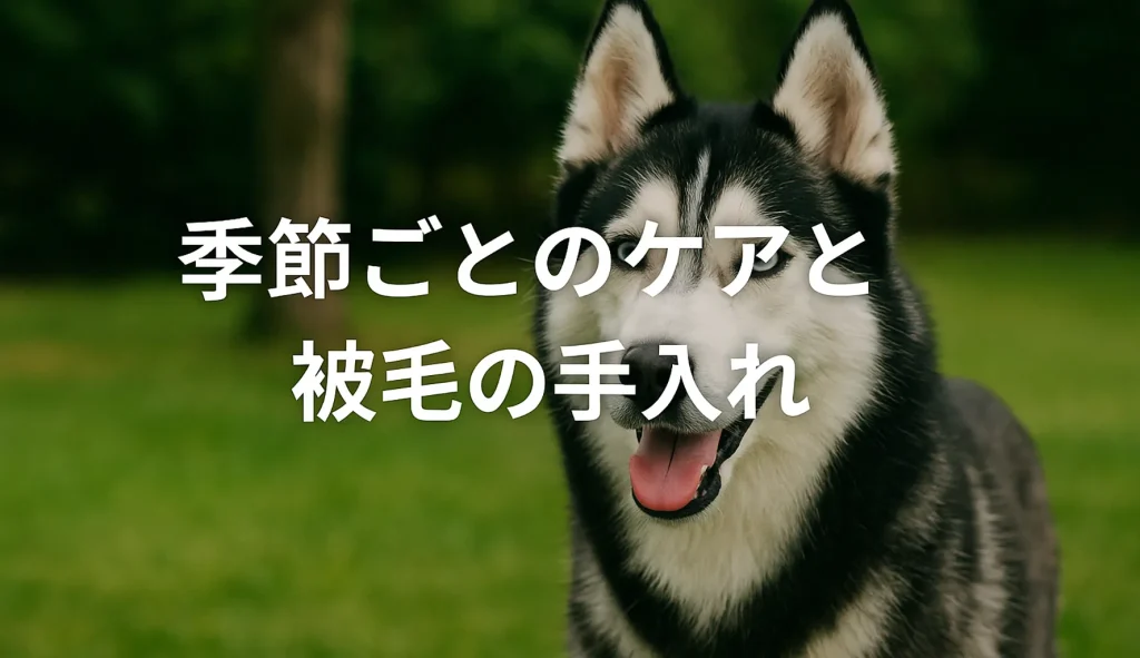 季節ごとのケアと被毛の手入れ