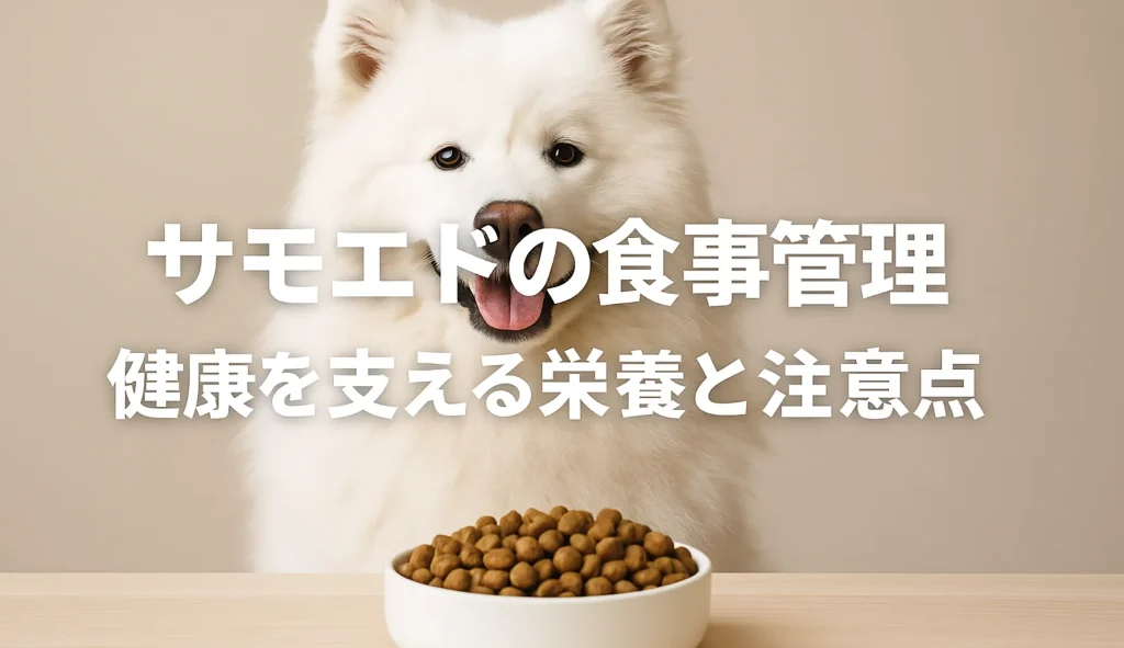 サモエドの食事管理〜健康を支える栄養と注意点