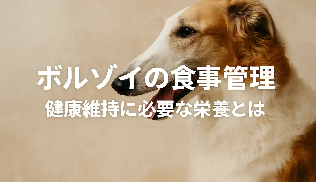 ボルゾイの食事管理|健康維持に必要な栄養とは