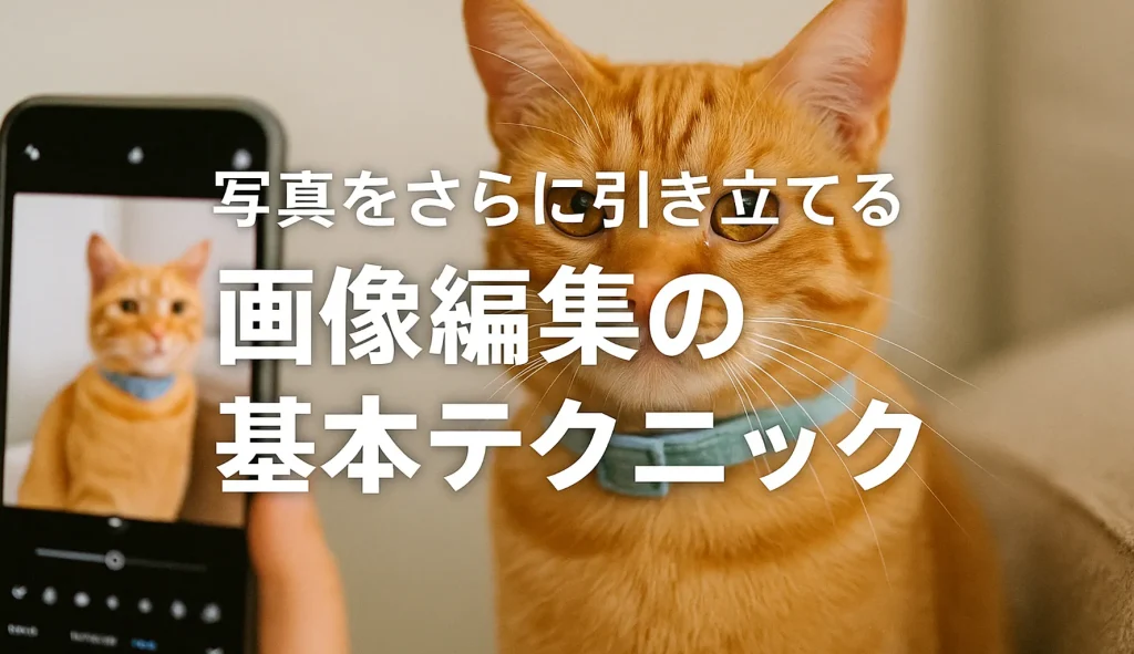 写真をさらに引き立てる画像編集の基本テクニック