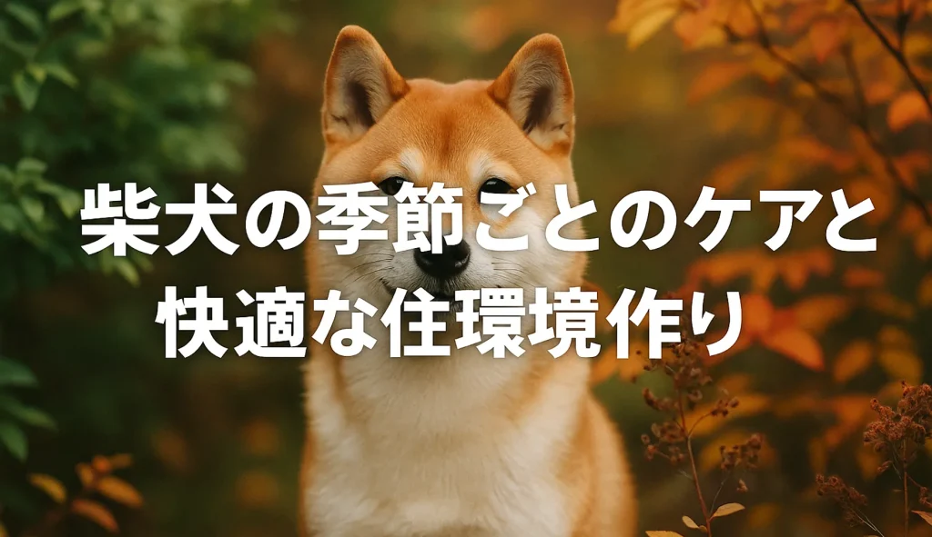 柴犬の季節ごとのケアと快適な住環境作り