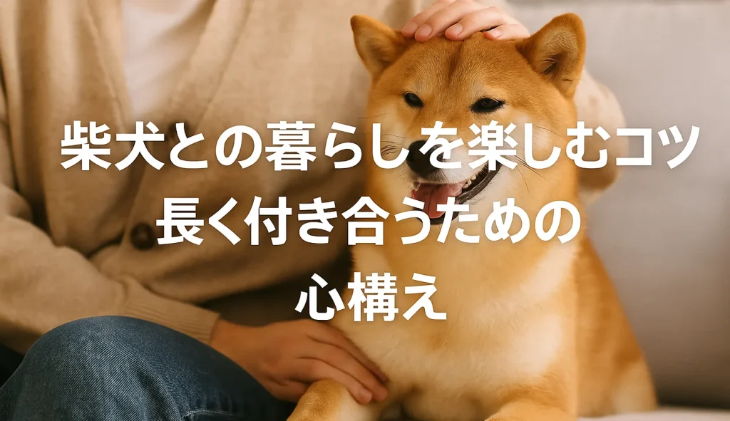 柴犬との暮らしを楽しむコツと長く付き合うための心構え