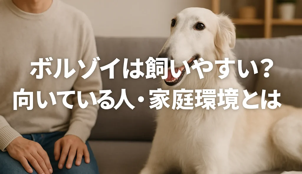 ボルゾイは飼いやすい?向いている人・家庭環境とは