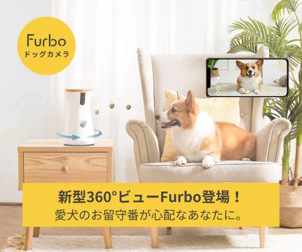 Furbo