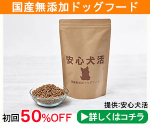 安心犬活