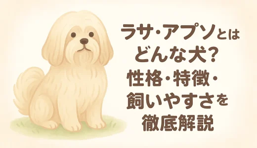 ラサ・アプソとはどんな犬？性格・特徴・飼いやすさを徹底解説