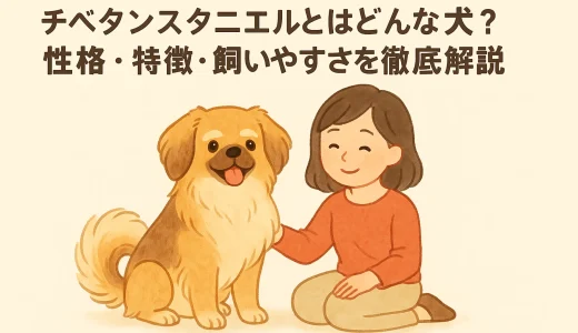 チベタンスタニエルとはどんな犬？性格・特徴・飼いやすさを徹底解説