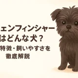 アーフェンフィンシャーとはどんな犬？性格・特徴・飼いやすさを徹底解説
