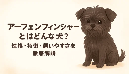 アーフェンフィンシャーとはどんな犬？性格・特徴・飼いやすさを徹底解説