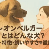 レオンベルガーとはどんな犬？性格・特徴・飼いやすさを徹底解説