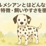 ダルメシアンとはどんな犬？性格・特徴・飼いやすさを徹底解説