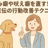 噛み癖や吠え癖を直す！プロ直伝の行動改善テクニック