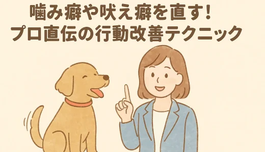 噛み癖や吠え癖を直す！プロ直伝の行動改善テクニック